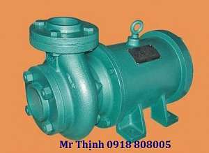 may-bom-chim-truc-ngang-lubi-lhl-150-0-5hp-1ph-230vac