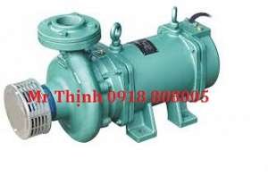 may-bom-chim-truc-ngang-lubi-lhs-150-0-50hp-1ph-230v