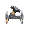 van-can-bang-luu-luong-msv-f2-dn15-p-n-003z1085