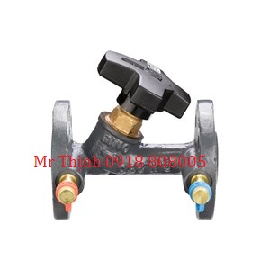 van-can-bang-luu-luong-msv-f2-dn20-p-n-003z1086